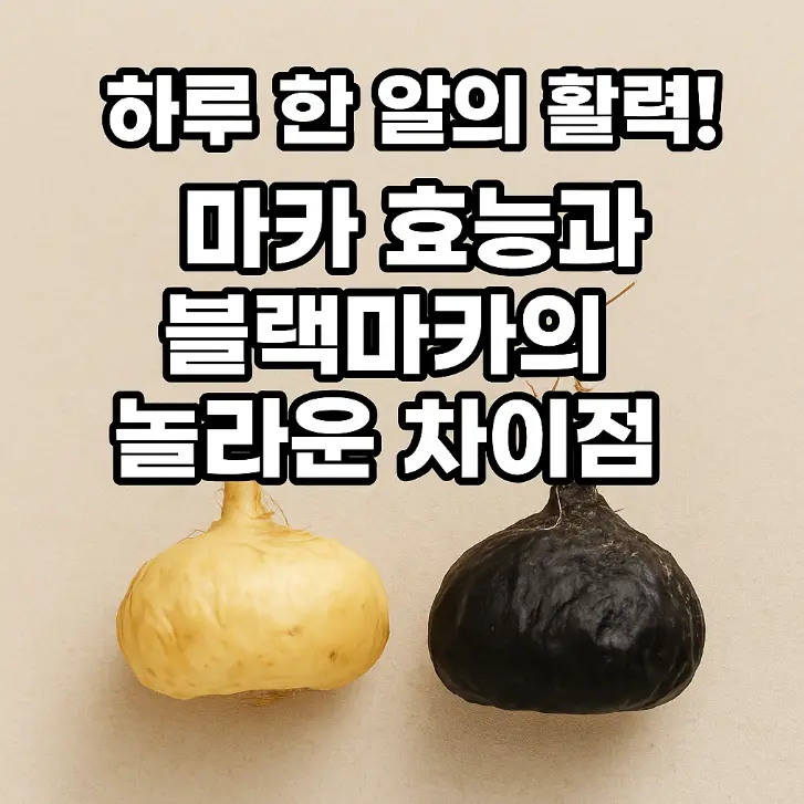 마카 효능 썸네일